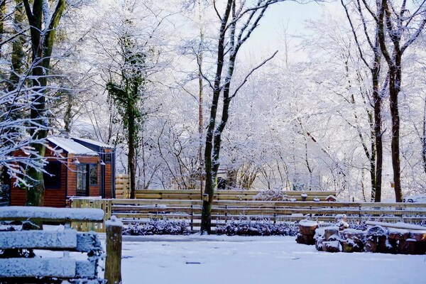 Foto van Tiny House in Hoogersmilde met tuin en parkeergelegenheid - GardenWinter