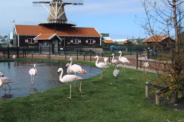 Foto van 186 Op het Noord-Hollandse Kanaal - Vakantiehuis in Schoorldam - Untagged