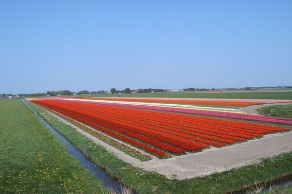 Foto van 186 Op het Noord-Hollandse Kanaal - Vakantiehuis in Schoorldam - Untagged