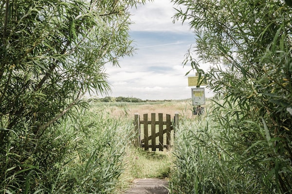 Foto van familie stranduitje - Vakantiehuis in Callantsoog - GardenSummer