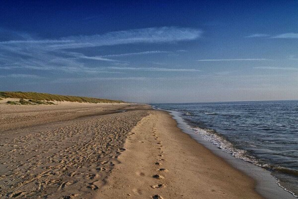Foto van Previnaireweg 46 & 48 - Vakantiehuis in Callantsoog - Untagged
