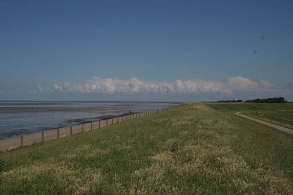 Foto van Chalet aan de Waddenzee met Tuin - Vakantiehuis in Hippolytushoef - AreaSummer1KM