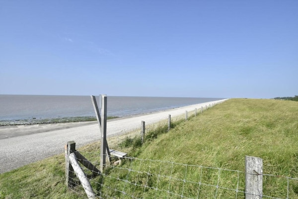 Foto van Chalet aan de Waddenzee met Tuin - Vakantiehuis in Hippolytushoef - AreaSummer20KM