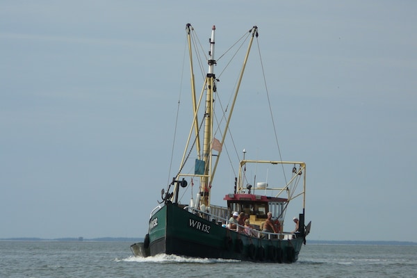 Foto van Chalet aan de Waddenzee met Tuin - Vakantiehuis in Hippolytushoef - AreaSummer20KM