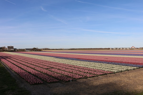 Foto van Vakantiehuis in  - Vakantiehuis in  - Untagged