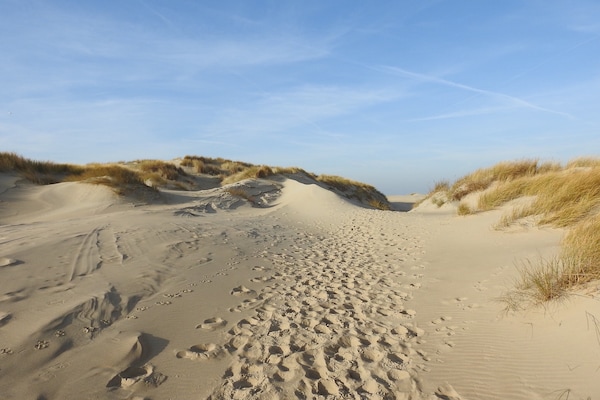 Foto van Vakantiehuis Vakantiepark 't Eibernest Texel - Vakantiehuis in De Cocksdorp - AreaSummer5KM