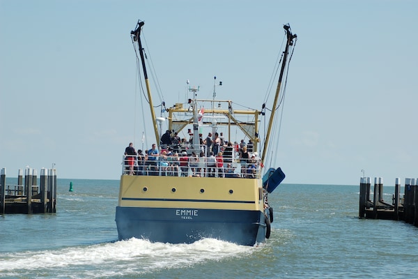 Foto van Moderne bungalows aan zee - Vakantiehuis in De Koog - AreaSummer5KM
