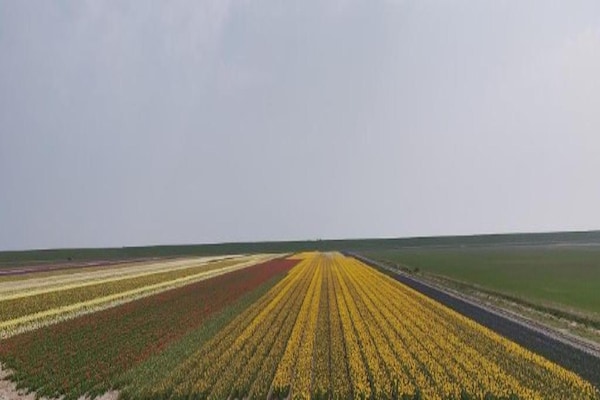 Foto van Moderne bungalows aan zee - Vakantiehuis in De Koog - AreaSummer20KM