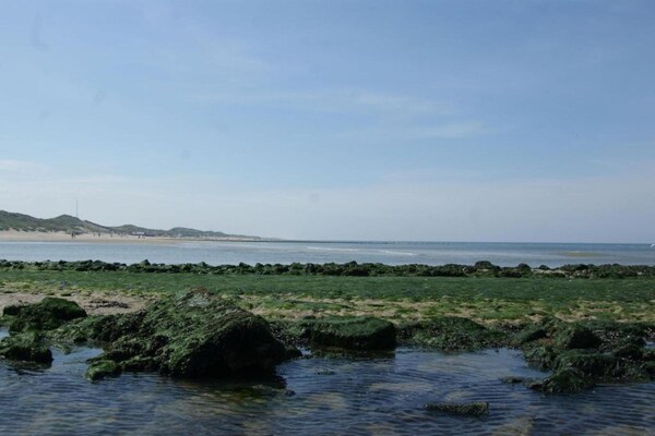 Foto van Vakantiehuis in Schoorl bij zandstranden - Vakantiehuis in Schoorl - AreaSummer20KM