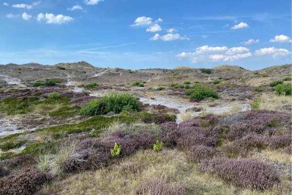 Foto van Appartement in Nederland bij de kust - Vakantiehuis in 't Zand - AreaSummer20KM