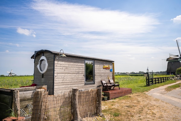 Foto van Appartement in Nederland bij de kust - Vakantiehuis in 't Zand - ExteriorSummer