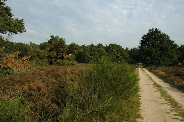 Foto van Rijtjeshuis in Nederland bij Veluwe - Vakantiehuis in Voorthuizen - AreaSummer20KM