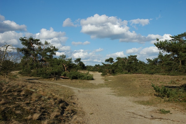 Foto van Rijtjeshuis in Nederland bij Veluwe - Vakantiehuis in Voorthuizen - AreaSummer20KM