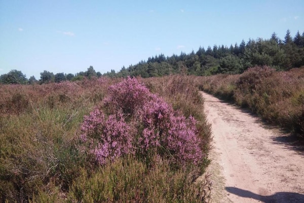 Foto van Rijtjeshuis in Nederland bij Veluwe - Vakantiehuis in Voorthuizen - AreaSummer20KM