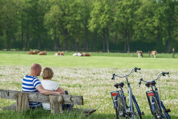 Foto van Vakantiehuis in Scherpenzeel bij natuurpark - Vakantiehuis in Scherpenzeel - AreaSummer5KM