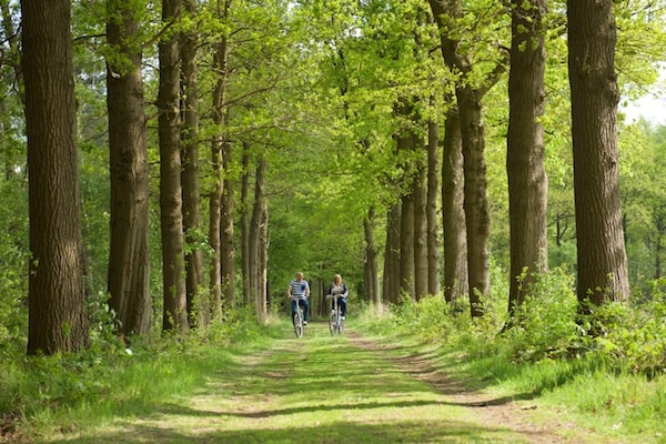 Foto van Vakantiehuis in Scherpenzeel bij natuurpark - Vakantiehuis in Scherpenzeel - AreaSummer20KM