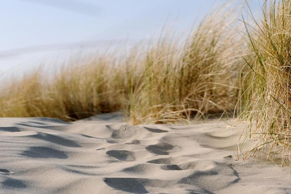 Foto van Vakantiehuis in Renesse bij het Strand - Vakantiehuis in Renesse - AreaSummer20KM
