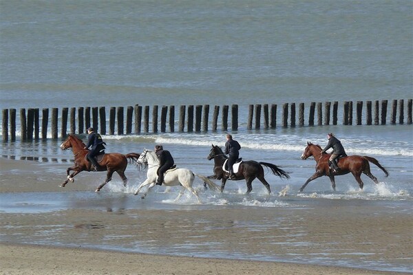 Foto van Appartement in Groede bij het Strand - Vakantiehuis in Groede - AreaSummer5KM