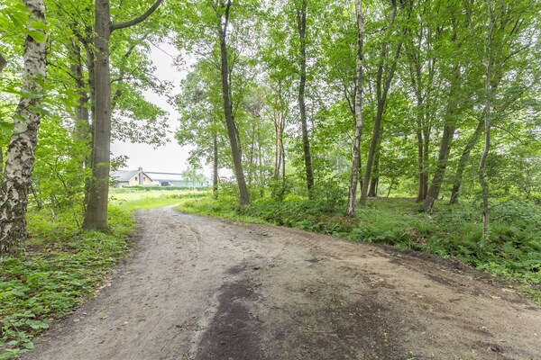 Foto van Vakantiehuis in bosrijke omgeving met terras - Vakantiehuis in Goirle - AreaSummer5KM