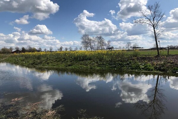 Foto van Lodge in Schaijk met Tuinterras - Vakantiehuis in Schaijk - AreaSummer5KM