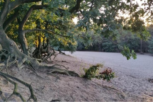 Foto van Vakantiehuis met terras bij Bedafse Bergen - Vakantiehuis in Uden - AreaSummer20KM
