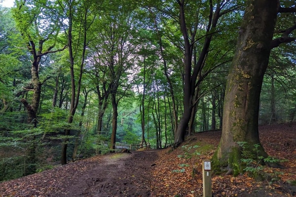 Foto van Vakantiehuis in Meeussen met eigen tuin - Vakantiehuis in Plasmolen - AreaSummer20KM