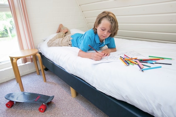 Foto van Bosrandvilla met sauna - Vakantiehuis in Hoenderloo - BedRoom