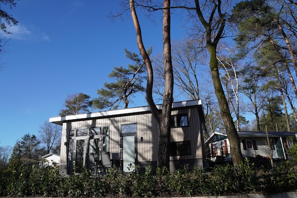 Foto van Tiny House met uitzicht op het bos - Vakantiehuis in Hoenderloo - ExteriorSummer