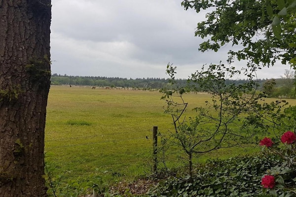 Foto van Stijlvol verblijf met uitzicht op de tuin - Vakantiehuis in Hellendoorn - AreaSummer5KM