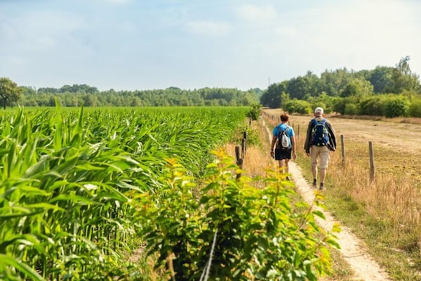 Foto van Sfeervolle safaritent voor gezinsglamping - Vakantiehuis in Zuna - AreaSummer5KM