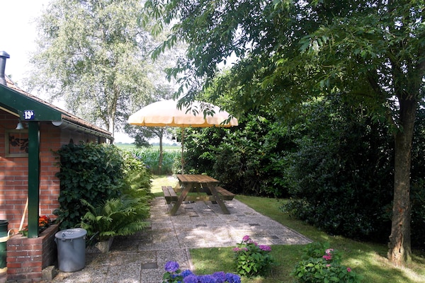 Foto van Vakantiehuis met fietsgebied - Vakantiehuis in Den ham - ExteriorSummer
