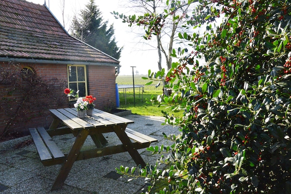 Foto van Vakantiehuis met fietsgebied - Vakantiehuis in Den ham - TerraceBalcony