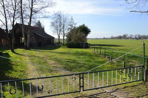 Foto van Vakantiehuis met fietsgebied - Vakantiehuis in Den ham - GardenSummer