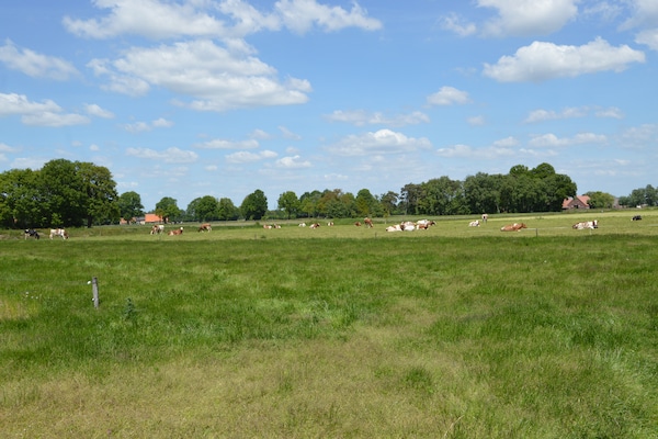 Foto van Vakantiehuis met fietsgebied - Vakantiehuis in Den ham - AreaSummer20KM