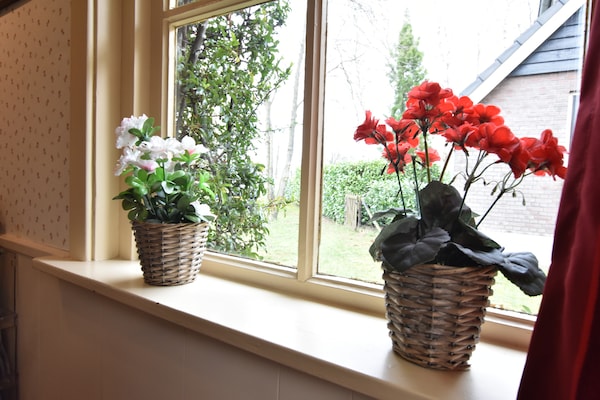 Foto van Vakantiehuis met fietsgebied - Vakantiehuis in Den ham - Ambiance