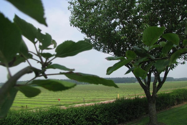 Foto van Vrijstaand huis met tuin in Nederland - Vakantiehuis in Dalfsen - AreaSummer20KM