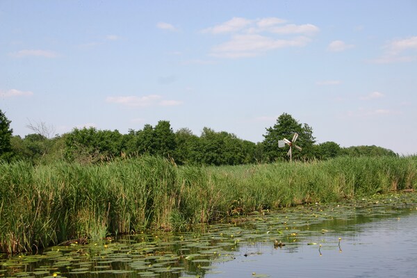 Foto van Ontsnappen aan het meer bij Giethoorn - Vakantiehuis in Wanneperveen - AreaSummer20KM