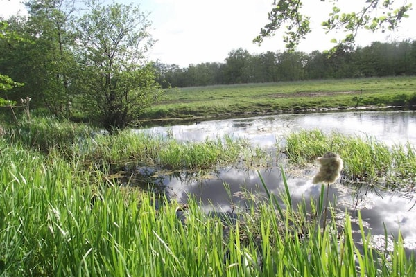 Foto van Safaritent, Friesland - Vakantiehuis in Twijzel - AreaSummer5KM