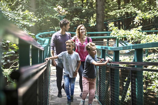 Foto van Privé ontspanningsplek voor een gezin - Vakantiehuis in TA Gasselte - AreaSummer1KM