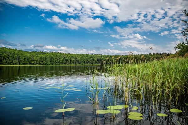 Foto van Vakantiehuis met terras, direct aan het meer - Vakantiehuis in Klepnica - View