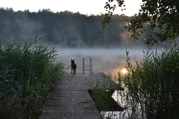 Foto van Vakantiehuis met terras, direct aan het meer - Vakantiehuis in Klepnica - View