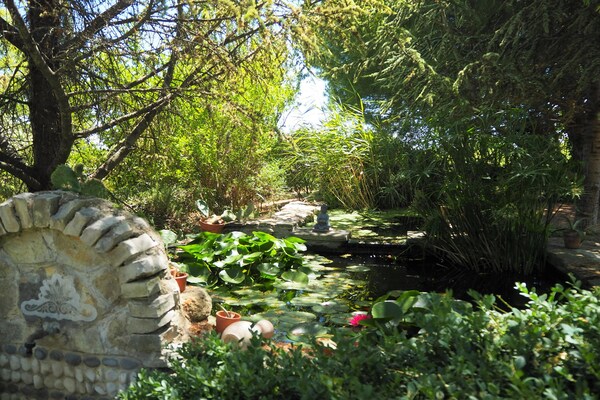Foto van Gezellig vakantiehuis met zwembad, Vernègues - Vakantiehuis in Vernègues - GardenSummer
