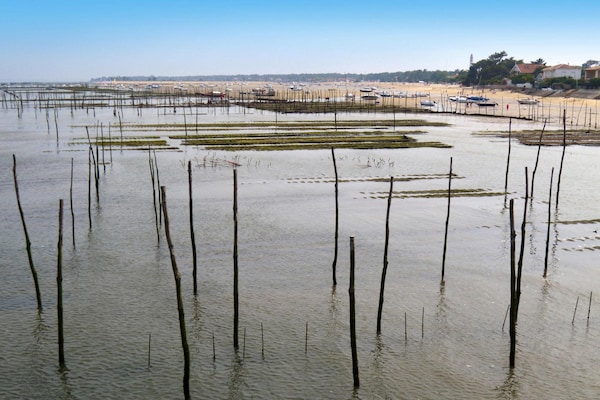 Foto van Landhuis aan de Baai van Arcachon - Vakantiehuis in Lanton - terrace