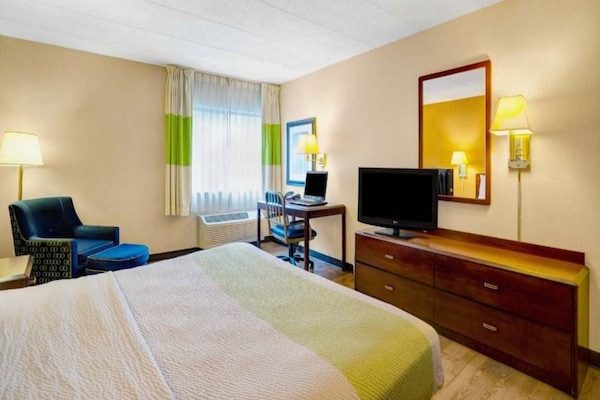 Foto van 1 kingsize bed | Rookvrij - Vakantiehuis in MILFORD - BedRoom