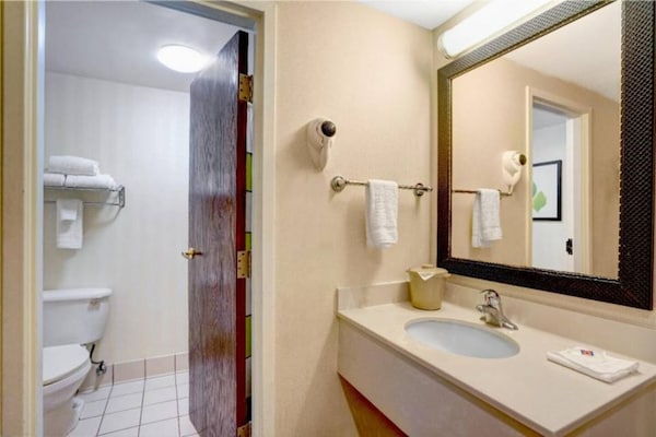 Foto van 1 kingsize bed | Rookvrij - Vakantiehuis in MILFORD - Facilities