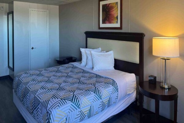 Foto van 1 kingsize bed | Rookvrij, Keuken - Vakantiehuis in Borger TX - BedRoom