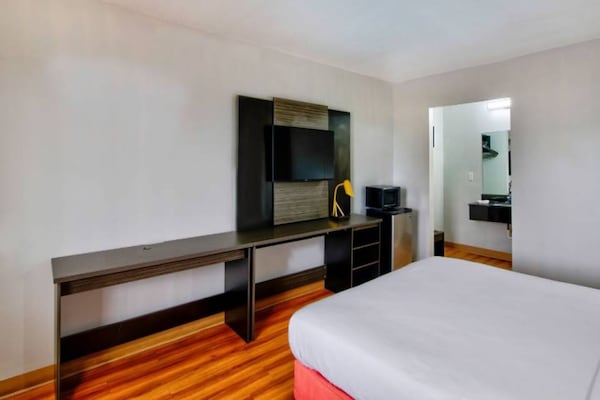 Foto van 1 tweepersoonsbed (queensize) | Rookvrij - Vakantiehuis in Gainesville - BedRoom