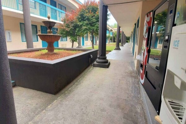 Foto van 1 Kingsize Bed | Niet-roken - Vakantiehuis in Savannah GA - ExteriorSummer
