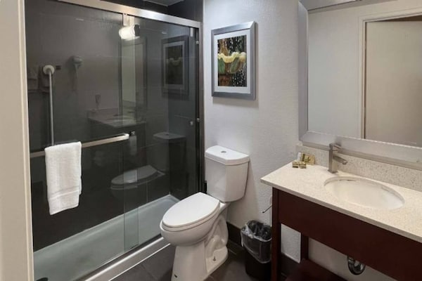 Foto van Premium kamer met 1 tweepersoonsbed (Queensize) | Rookvrij - BathRoom