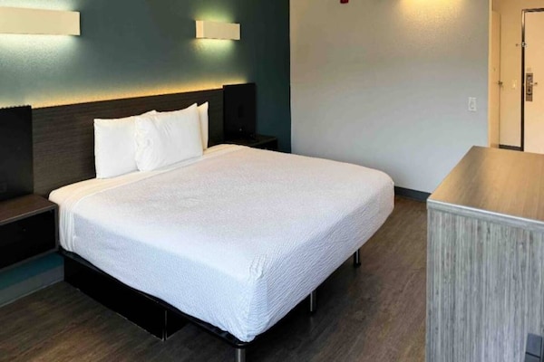 Foto van 1 kingsize bed | Badkuip met mobiele toegang Nsmk Micfridg - BedRoom
